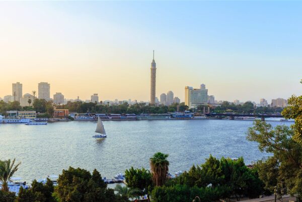 |phd-egypt|phd-egypt